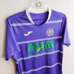 Domowa Koszulka piłkarska klubu Petrocub Hincesti z sezonu 2015-16 w kolorze fioletowym marki Joma.
