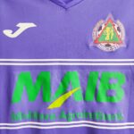 Domowa Koszulka piłkarska klubu Petrocub Hincesti z sezonu 2015-16 w kolorze fioletowym marki Joma.