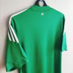 Domowa koszulka piłkarska Rapid Wiedeń z lat 2013-15 w kolorze biało-zielonym marki Adidas.