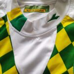 Trzecia koszulka Mamelodi Sundowns z sezonu 2005-06 w kolorze biało-zielono-żółtym marki Diadora.